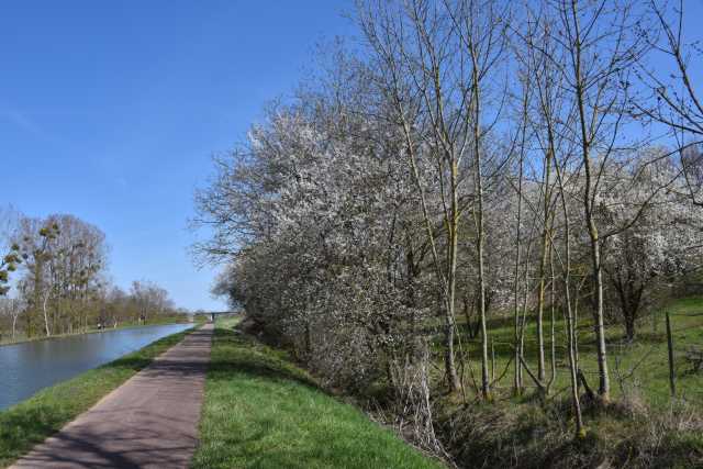 DSC_3005.JPG