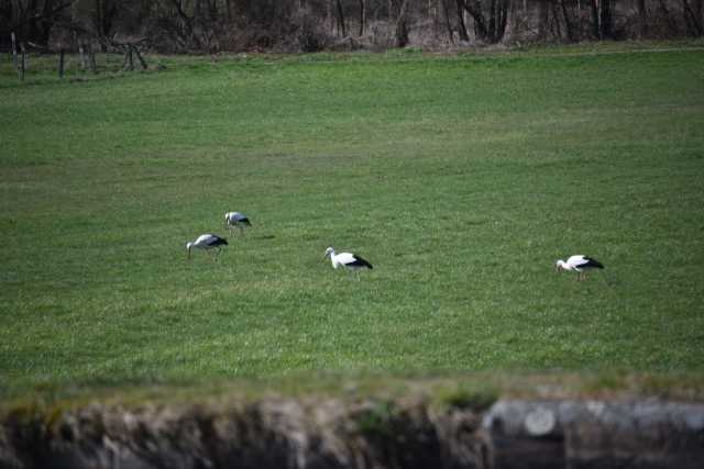 DSC_3008.JPG