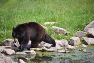 DSC_3597.JPG