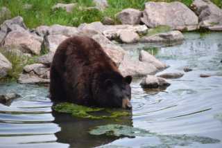 DSC_3614.JPG