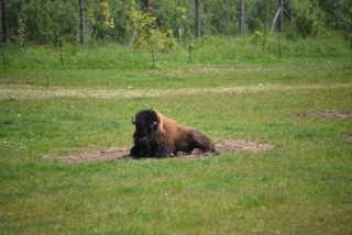 DSC_3626.JPG