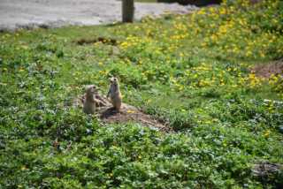DSC_3628.JPG