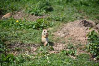 DSC_3644.JPG