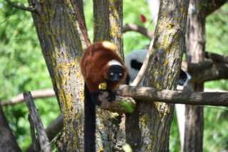 DSC_3660.JPG