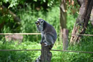 DSC_3693.JPG