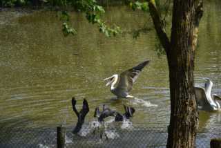 DSC_3783.JPG