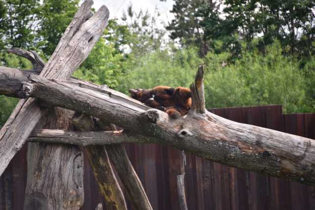 DSC_3593.JPG