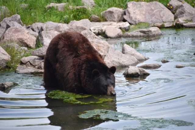 DSC_3614.JPG