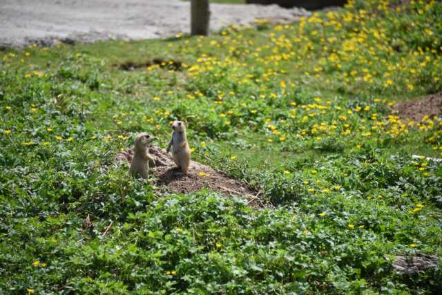 DSC_3628.JPG