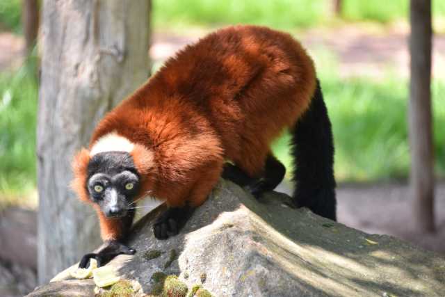 DSC_3684.JPG