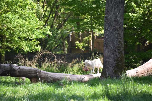 DSC_3719.JPG