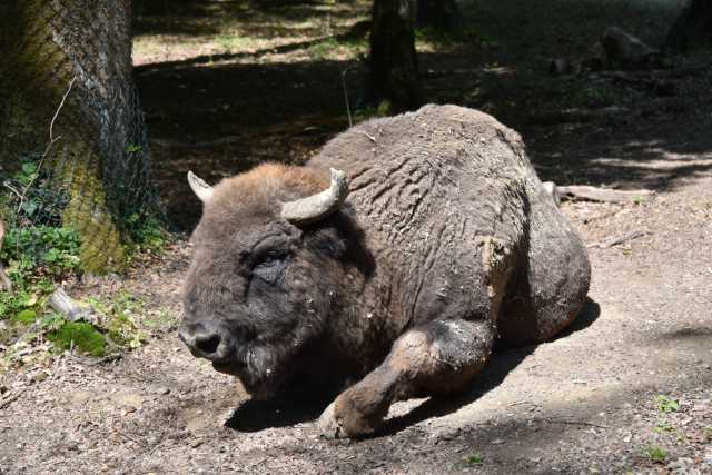 DSC_3743.JPG