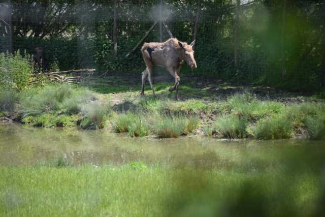 DSC_3775.JPG