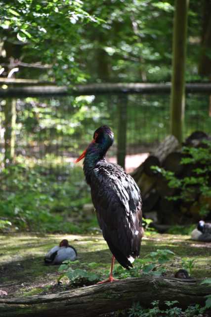 DSC_3903.JPG