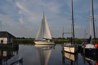 DSC_4132.JPG
