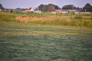 DSC_4156.JPG