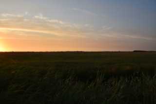 DSC_4159.JPG