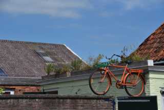 DSC_4168.JPG