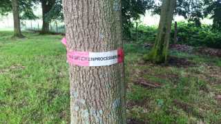 IMG_20210705_155538_2.jpg