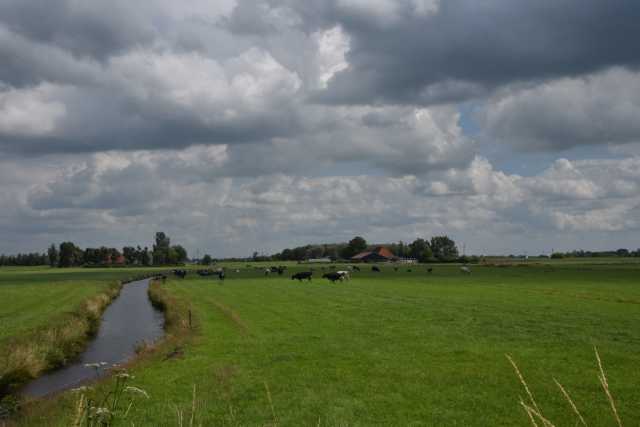 DSC_4112.JPG