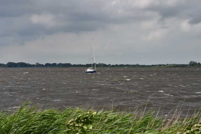 DSC_4115.JPG