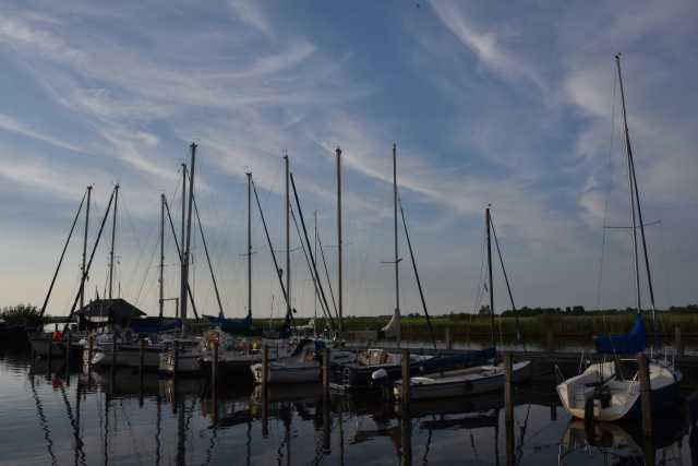 DSC_4124.JPG