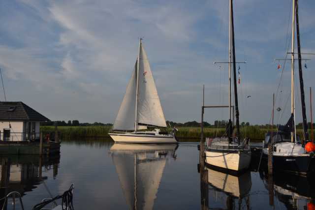 DSC_4132.JPG