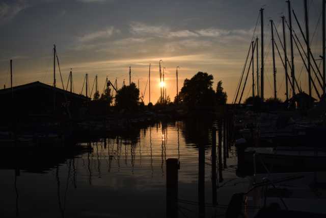 DSC_4153.JPG