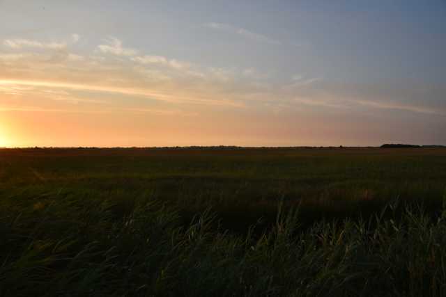 DSC_4159.JPG