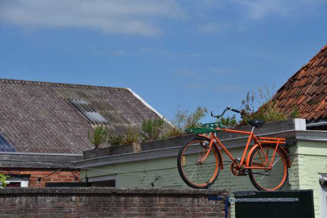 DSC_4168.JPG