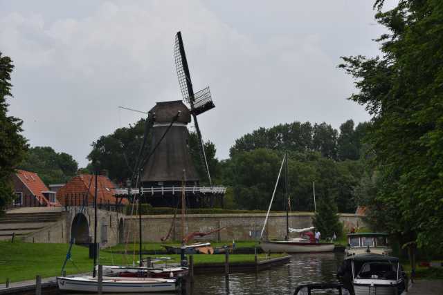DSC_4200.JPG