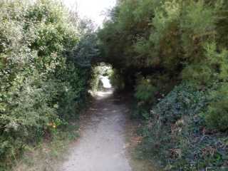DSCN4755.JPG