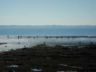DSCN4758.JPG