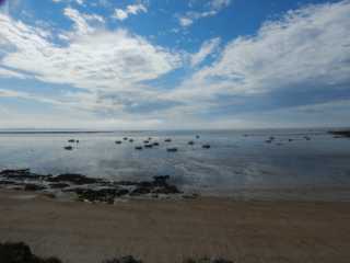 DSCN4769.JPG