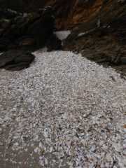 DSCN4778.JPG