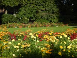 DSCN4817.JPG