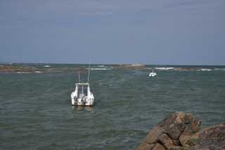 DSC_4502.JPG