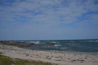 DSC_4506.JPG
