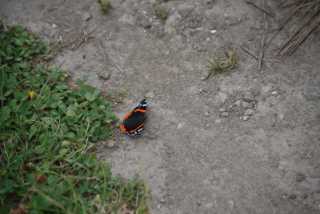 DSC_4543.JPG