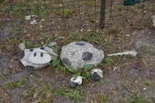 DSC_4544.JPG