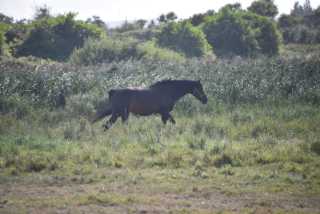 DSC_4561.JPG