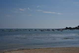 DSC_4577.JPG
