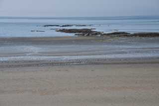 DSC_4607.JPG