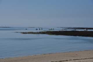 DSC_4616.JPG
