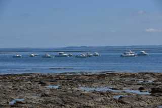 DSC_4628.JPG