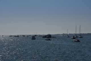 DSC_4649.JPG