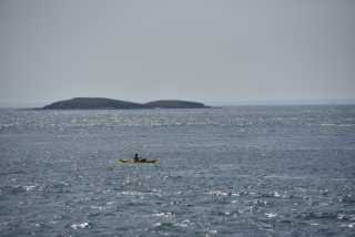 DSC_4693.JPG
