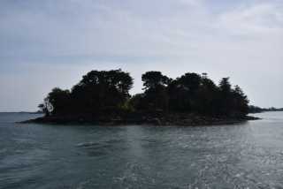 DSC_4722.JPG