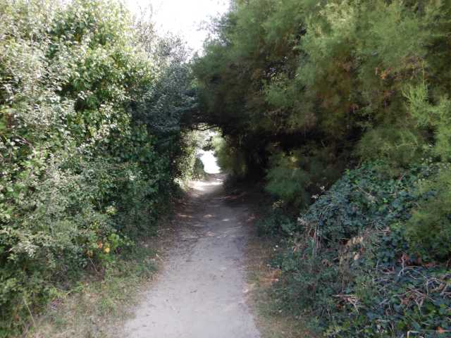 DSCN4755.JPG