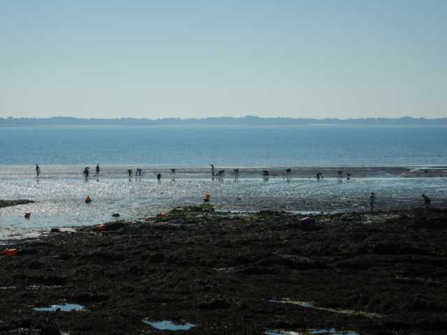 DSCN4758.JPG